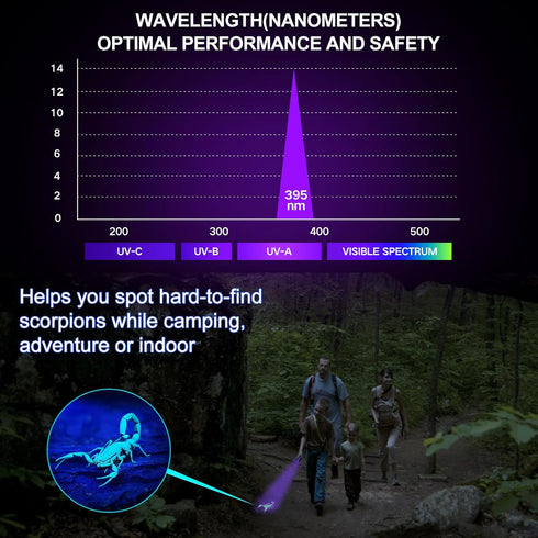 Black Light UV Light Flashlight, Vansky 395nm 12 LED 2 Pack, Mini Powerful Pet Urine Detector for Carpet Stains