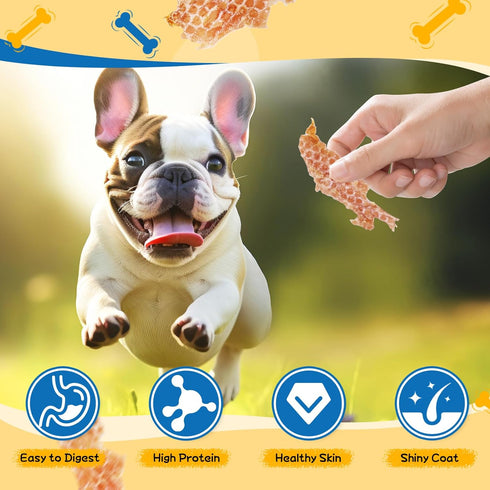 gazeupon Chicken Jerky Dog Treat,Training Treats for Dogs w/Glucosamine Chondroitin, High Protein, Made with Real
