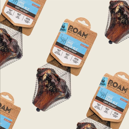 ROAM Pet Treats Large Gnaw-Kle Ostrich Knuckle Dog Chew for Medium to Large Dogs, 10.2 Ounce (Pack of 3)