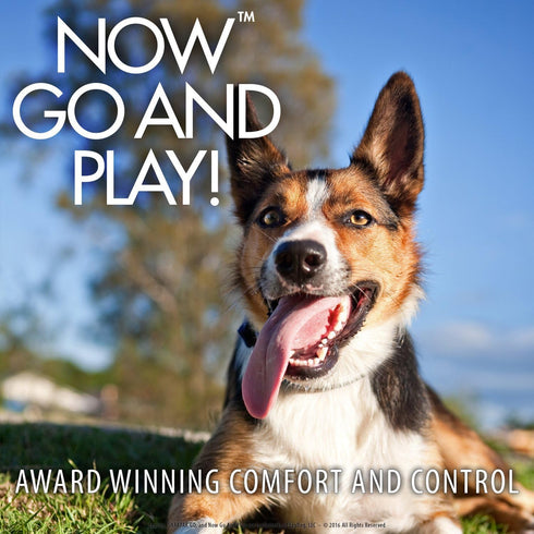 EzyDog SnakPak Go Wearable Dog Treat Bag, Perfect for Running or Walking, Training Pouch with Bag Storage