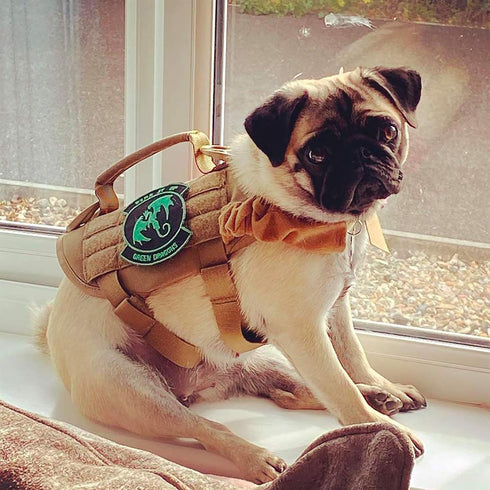 OneTigris Tactical Dog Harness, Military Vest with Handle for Small Dogs, Easy Control Training Walking