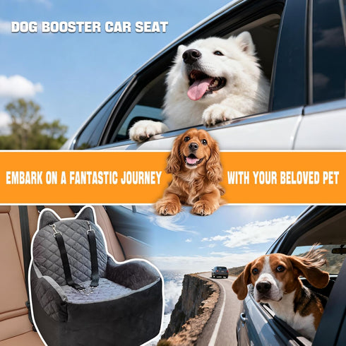 Dog Car Seat for Small Medium Sized Dog, Booster Car Seat with Elevated Memory Foam, Storage Pocket & Safety Belts