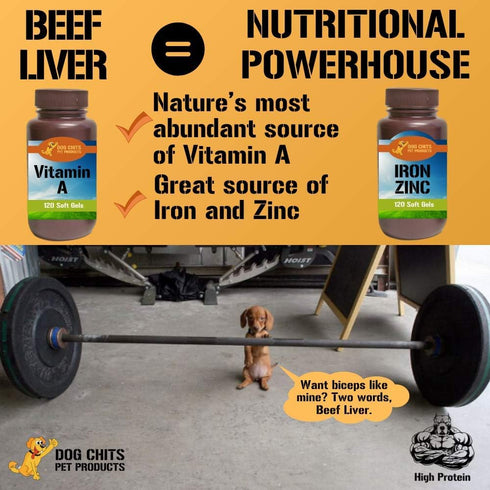 Dog Chits Beef Liver-Premium Cuts | Dog and Puppy Chews | Made in USA, Grass Fed Beef | All-Natural Quality Treats | Easily to Break (Training) | Large and Small Dogs | Dogs Can’t Resist Liver |10 oz.
