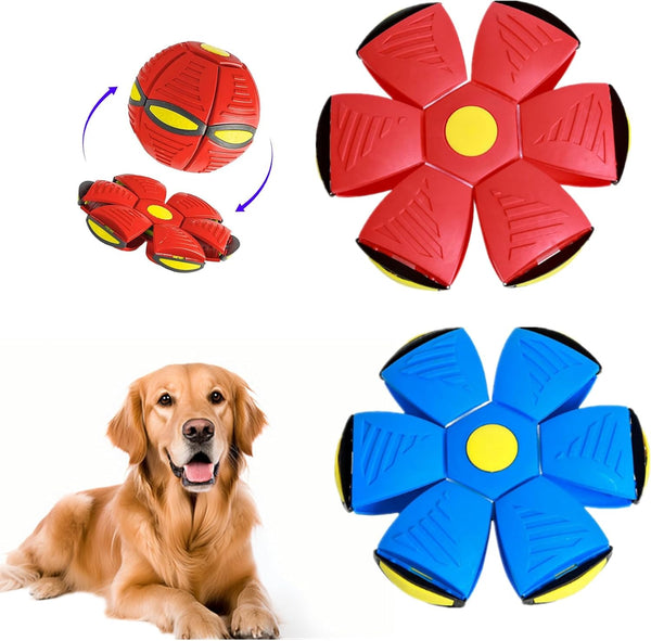 alfyng 2 Pack Pet Toys, Dog Flying Saucer Ball, Interactive Magic Ball for Outdoor Sports (Red + Blue)
