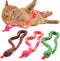 CiyvoLyeen Interactive Catnip Toys - Set of 3 Snake Cat Toy for Indoor Cats, Novelty Gift for Cat Lovers