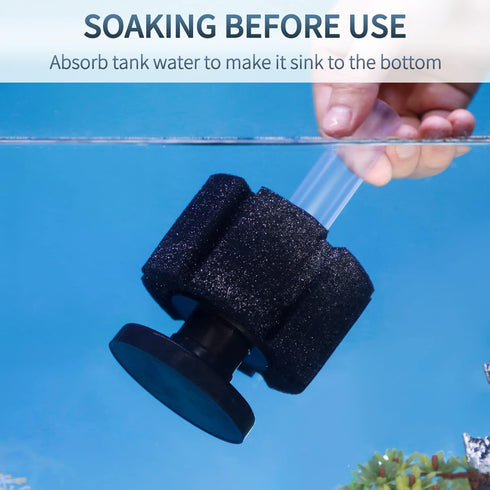 30 Pawfly Aquarium Bio Sponge Filter Quiet Betta Fry Shrimp and Small Fish Foam Filter for Fish Tank up to Gallons