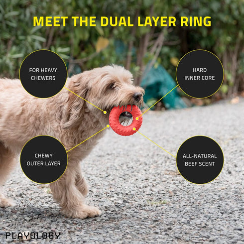 Playology Dual Layer Ring Toy for Medium Dogs (15 to 35lbs) - Engaging All-Natural Beef Scented Durable Dog Chew Toys for Aggressive Chewers, Easy to Clean - Interactive & Non-Toxic