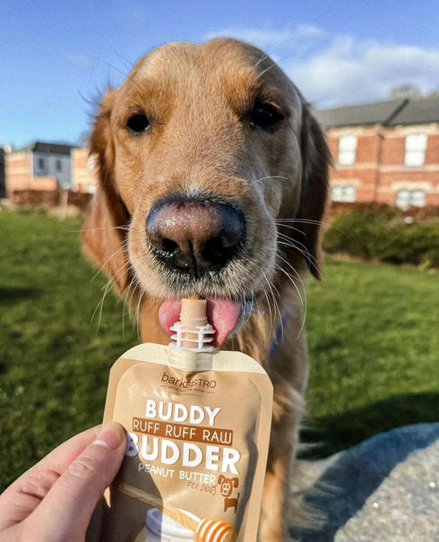 6 Pack Packs, 100% (4oz Packs) BUDDY BUDDER Mixed Flavor Squeeze Natural Dog Peanut Butter, Healthy Peanut Butter Dog