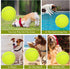 Pomeat 2 PCS Giant Tennis Balls for Dogs, 9.5" Inflatable Non-Toxic Chew Toy with Pump & Needle