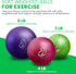 Bean Products Soft Weighted Balls for Exercise - Soft and Safe Workout Balls for Yoga, Rehab, Pilates and Fitness