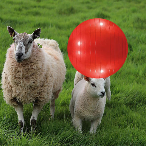 3 Pieces Pet Goat Ball Lamb Toy with Inflator Pump for Dog Training Exercise Ball for Outdoor Entertainment