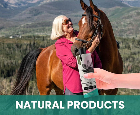 Holistic Natural Derived Lotus and White Tea Pet Shampoo - 16 oz - Veterinarian Recommended for Dogs, Cats, Horses