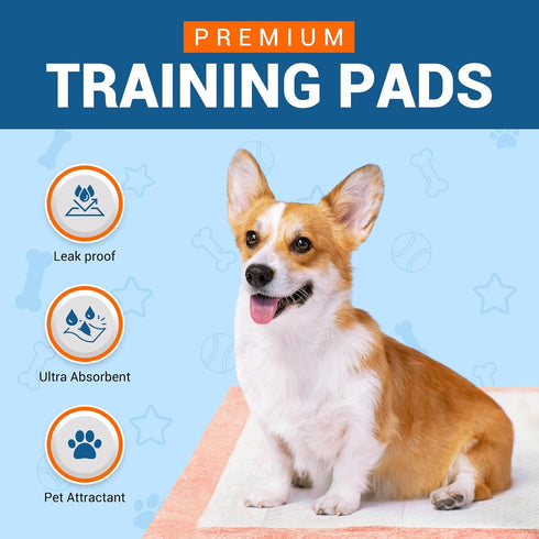 MED PRIDE Dog Training Pads, 12 Packs of 5 (60 Pads), Ultra-Absorbent Disposable Puppy Pee Pads, 22 x 24”
