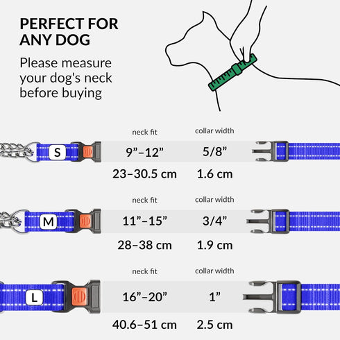 CollarDirect Martingale Dog Collar with Stainless Steel Chain, Reflective Quick Release Buckle for Medium Dogs, Blue