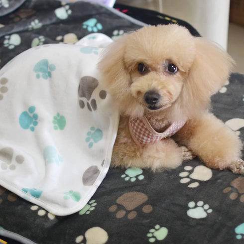 1 Pack 3 Puppy Blankets, Super Soft Warm Sleep Mat Grey PAW Print Fleece Blanket for Small Dogs and Fluffy Cats, Medium