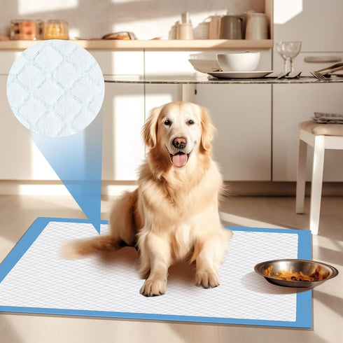 200 Packs 22"x22" Disposable Puppy Pads, Dog Training Pads, Super Absorbency Disposable Underpads with Leak-Proof