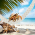 Fiwochic 14 Pcs Hermit Crab Accessories Natural Hermit Crab Toys Coconut Shell Hideout Climbing Bridge Moss Stick