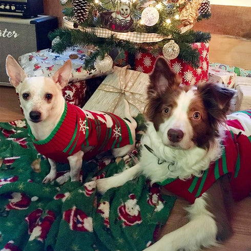 NACOCO Dog Snow Sweater, Snowman Holiday Xmas Clothes for Small Dog and Cat (Snowman, S)
