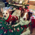 NACOCO Dog Snow Sweater, Snowman Holiday Xmas Clothes for Small Dog and Cat (Snowman, S)