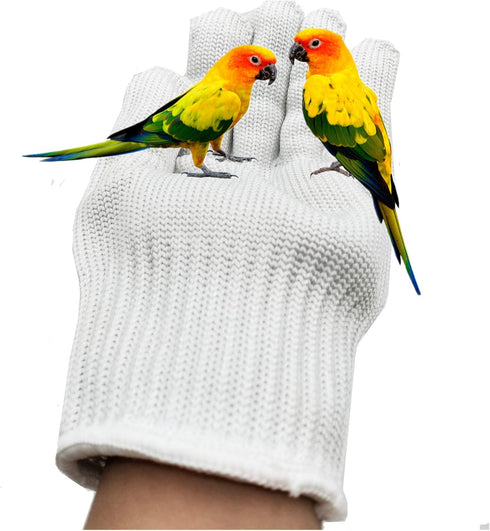 Bird Training Anti-Bite Gloves Protective Gloves for Small Animal Handling (1 Pair White)