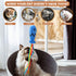 Fashion&cool Cat Wand Toy - 3pcs 16 Inch Natural Wooden Teaser with 5 Pcs Silvervine Sticks for Indoor Cats