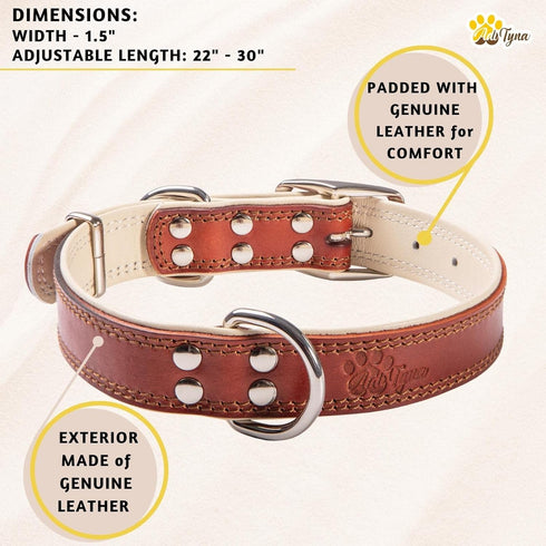 ADITYNA Heavy-Duty Premium Leather Dog Collar for Extra-Large Dogs, Padded with Soft Genuine Leather