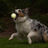 60-100 lbs 3-inch Pack 2 Chuckit! Ultra Ball Dog Toys - Size Large - for Dogs - Made from Durable Rubber - Super Bouncy