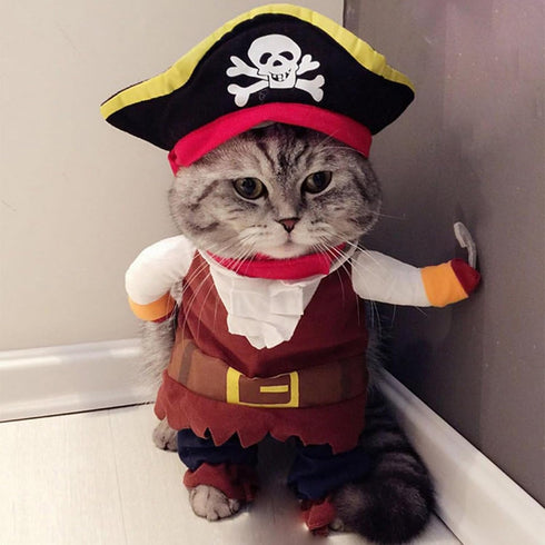 Dog Costume Pirates of The Caribbean Style - Funny Halloween Cosplay for Small to Medium Dogs & Cats, Corsair Dress Up
