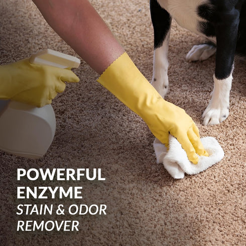 128oz Strong Stain & Odor Eliminator - Cats & Dog Enzymatic Urine Destroyer -MADE IN USA- Fresh Scent Multi-Purpose Pet