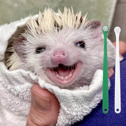 (2PC) Mini Pet Toothbrush Mini Head Soft Bristles Gentle Pet Toothbrush for Small Pets Dental Care Hedgehog Rat Ferret