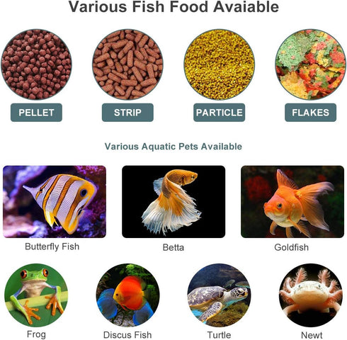 Lychee Automatic Fish Feeder | Digital Auto Timer Vacation Feeder for Aquarium