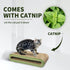 PAWISE Cat Scratcher Bed, Cardboard Sofa Kitten Scratching Board, Reversible Lounge Pad for Indoor Cats