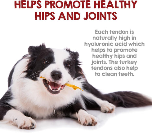 Riley's Turkey Tendons for Dogs - All Natural Single Ingredient Treats Made in the USA - 4 oz