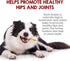 Riley's Turkey Tendons for Dogs - All Natural Single Ingredient Treats Made in the USA - 4 oz