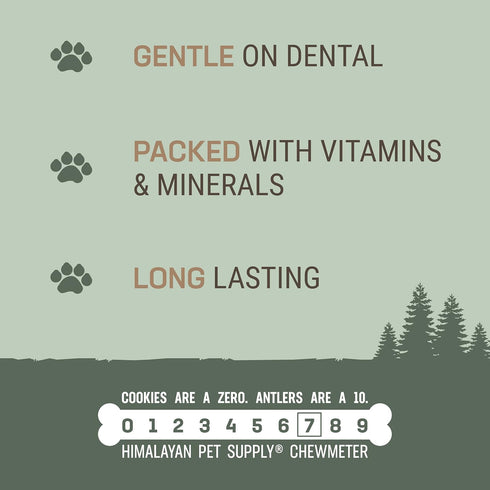 Antler and Himalayan Cheese Dog Chew, Long Lasting, 100% Natural, for Dogs 45 Lbs & Smaller