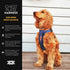 EzyDog Premium Chest Plate Reflective No-Pull Padded Comfort Dog Harness, Perfect for Training and Walking, Small, Red