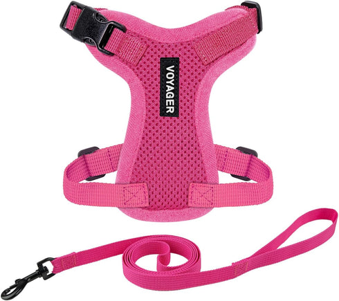 Voyager Step-in Lock Adjustable Cat Harness with Leash Combo Set - Best Pet Supplies, Fuchsia, XXS