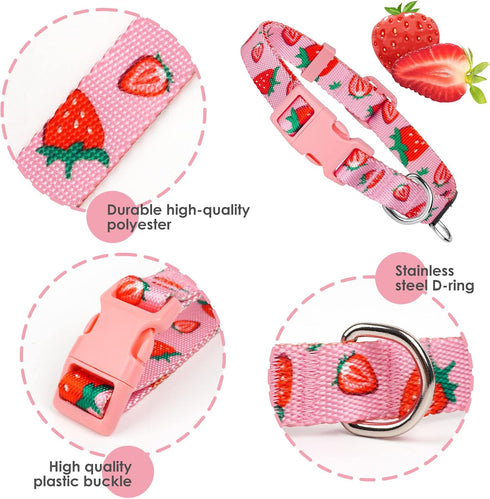 azuza Dog Collar and Leash Set - Cute Strawberry Patterns on Pink Nylon Collar and Matching Leash