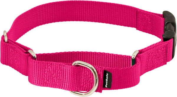 PetSafe Martingale Dog Collar - Medium, 1 Inch, Raspberry - Quick-Snap Buckle