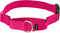 PetSafe Martingale Dog Collar - Medium, 1 Inch, Raspberry - Quick-Snap Buckle