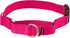 PetSafe Martingale Dog Collar - Medium, 1 Inch, Raspberry - Quick-Snap Buckle