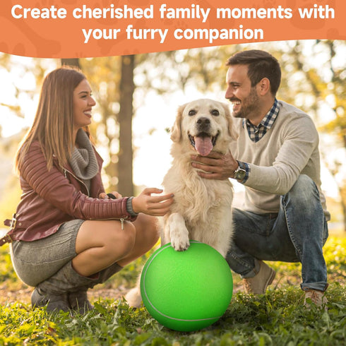 Giant Large Tennis Ball for Dogs: 9.5" Big Ball for Outdoor Play, Green Dog Tennis Ball