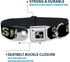 Buckle-Down Dog Collar with Cash Money Black Dollar Bills - Fits 9 to 15 Inches, 1.0 Inch Wide