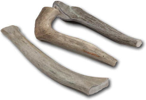 Top Dog Chews – Approximately 1LB Deer Antlers, Premium, Grade A, Natural Chew for Large, Medium or Small Dogs