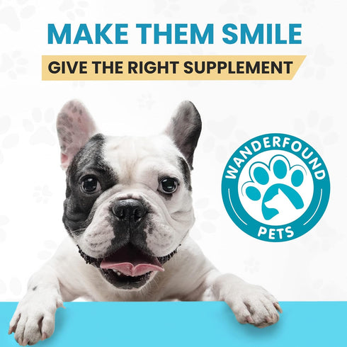 Wanderfound Pets - Omega 3 Fish Oil for Dogs, Smoked Salmon and Liver Flavor, 120 Chewable Tablets