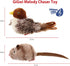 Gigwi Chirping Bird Cat Toy Set - Interactive Motion Activated Toy for Indoor Cats