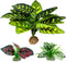 Reptile Artificial Plants, Terrarium Decorations for Aquarium Fish Tank, Amphibian Habitat Accessories (L Set-3pcs/B)