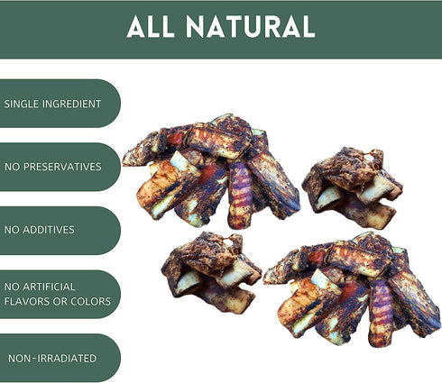 K9 Connoisseur Single Ingredient Dog Bones - All Natural Meaty Beef Chew Treat Bone for Small Breed Dogs (8 Pk of 5