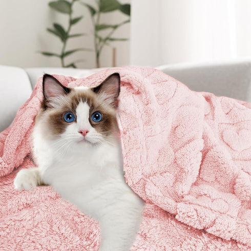 MACEVIA Fluffy Fleece Dog Blankets, Warm Soft Fuzzy Blankets for Small, Medium, Large Dogs and Cats (24x29 Inch, Light