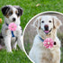 PET SHOW Valentines Flower Charms Slide Collar Accessories for Small Dogs, Medium Large Dogs, Cats, Puppies, Rabbits,